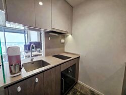Avenue South Residence (D3), Apartment #537938641